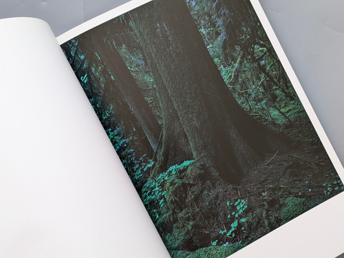 QUINAULT　クゥィノルト　上田義彦　Yoshihiko UEDA Quinault（First Edition, Signed） - 上田 義彦 / Yoshihiko Ueda