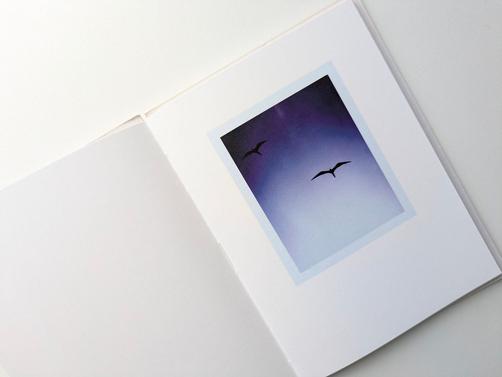 サムネイル： Bird's set Sun's / Mark Borthwick