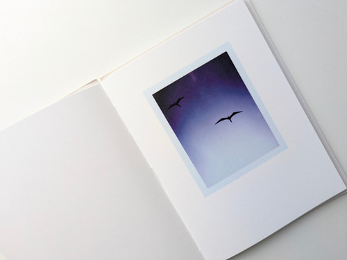 100部限定 Mark Borthwic Bird's set Sun's Mark Borthwic Bird's