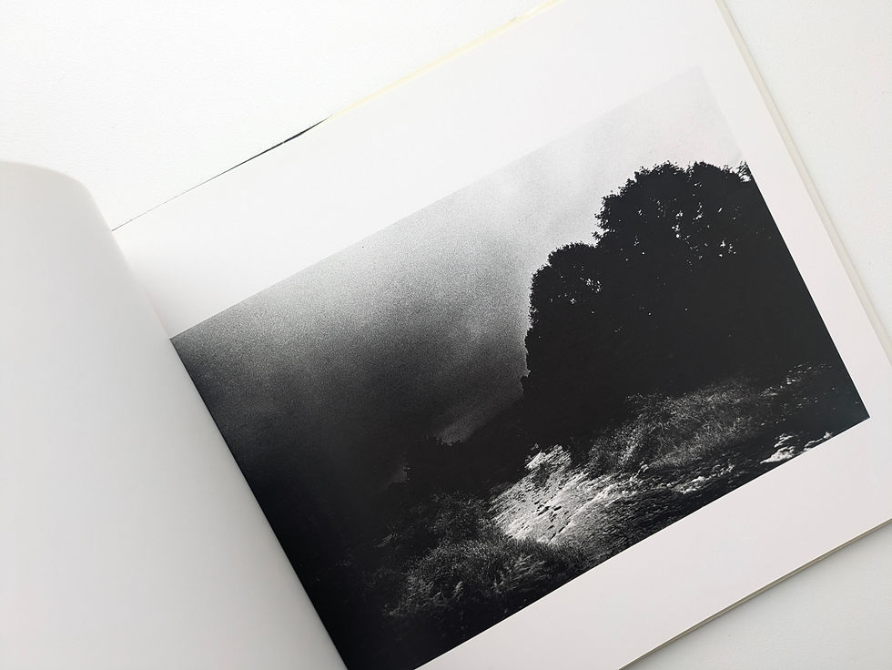 Thumbnail: MORIYAMA Daido 1970-1979 [森山大道]