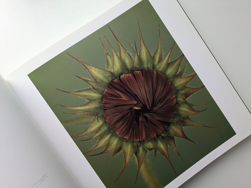 古書・古本 | Liebbooks |BLOOM / RON VAN DONGEN