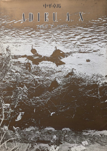 古書・古本 | Liebbooks |ADIEU A X アデュウ ア エックス / 中平卓馬
