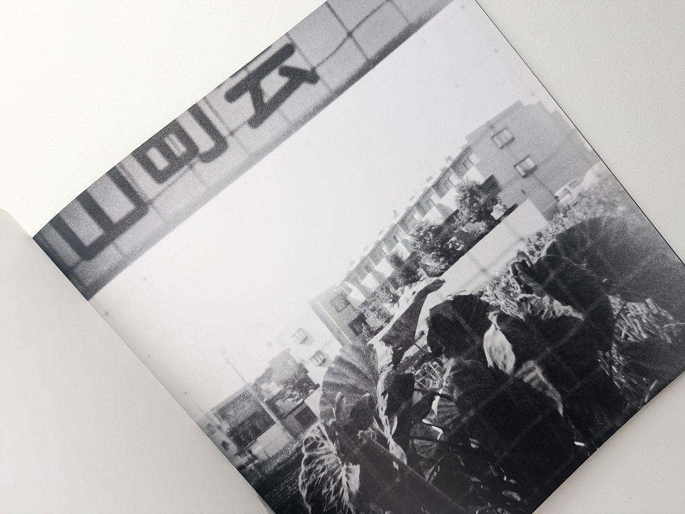サムネイル： t-82 / Daido Moriyama [森山大道]