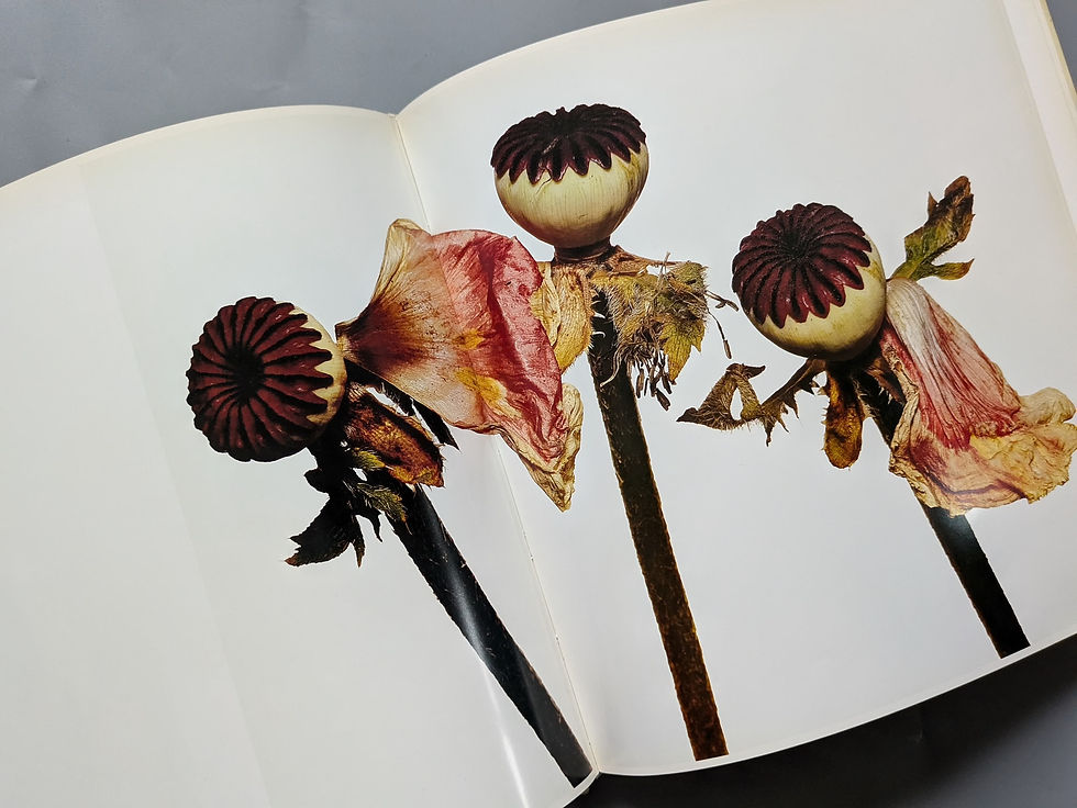 サムネイル： FLOWERS / Irving Penn