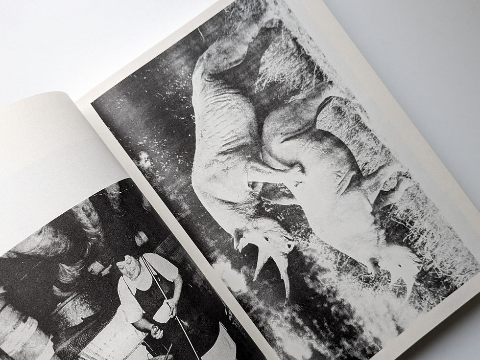 Thumbnail: NEWSPAPER  / Steve Lawrence, Peter Hujar, Andrew Ullrick