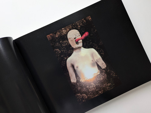 古書・古本 | Liebbooks |dark splendor / David Lynch