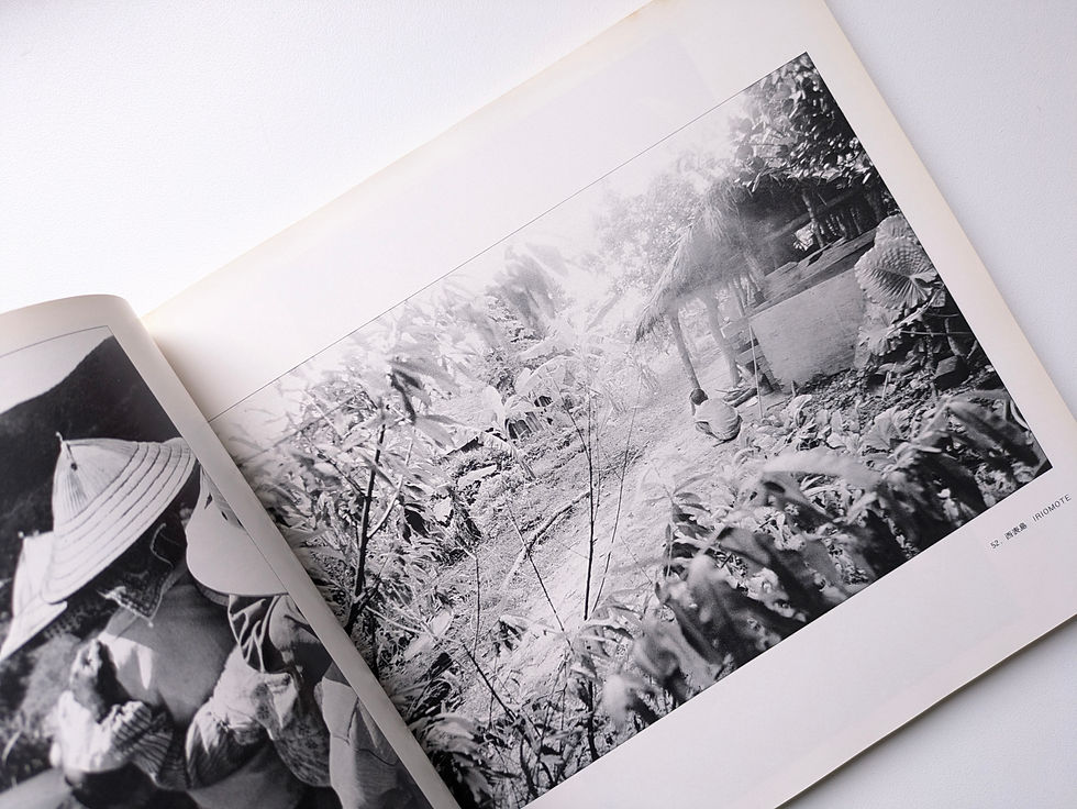 Thumbnail: 太陽の鉛筆 : 沖縄・海と空と島と人びと・そして東南アジアへ  / 東松照明