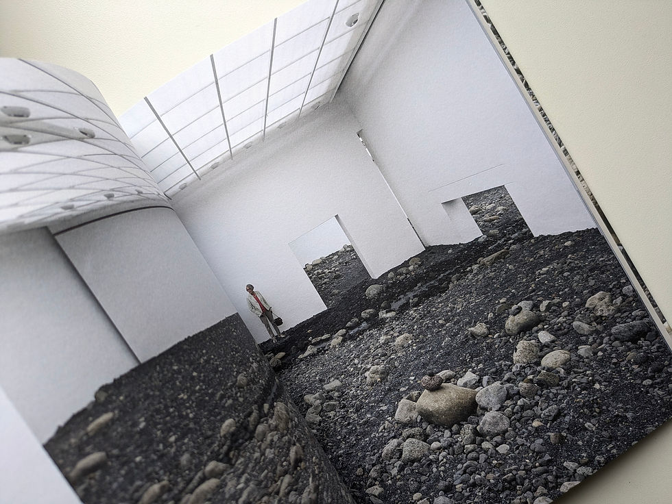 サムネイル： Riverbed : Olafur Eliasson at Louisiana