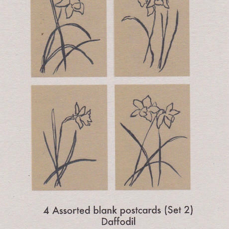 4 Assorted blank postcards (set 2) / Lucy Auge