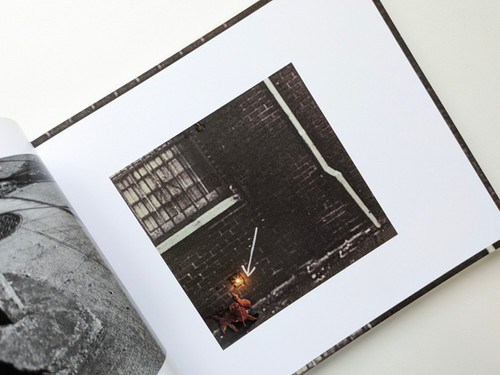 古書・古本 | Liebbooks |dark splendor / David Lynch