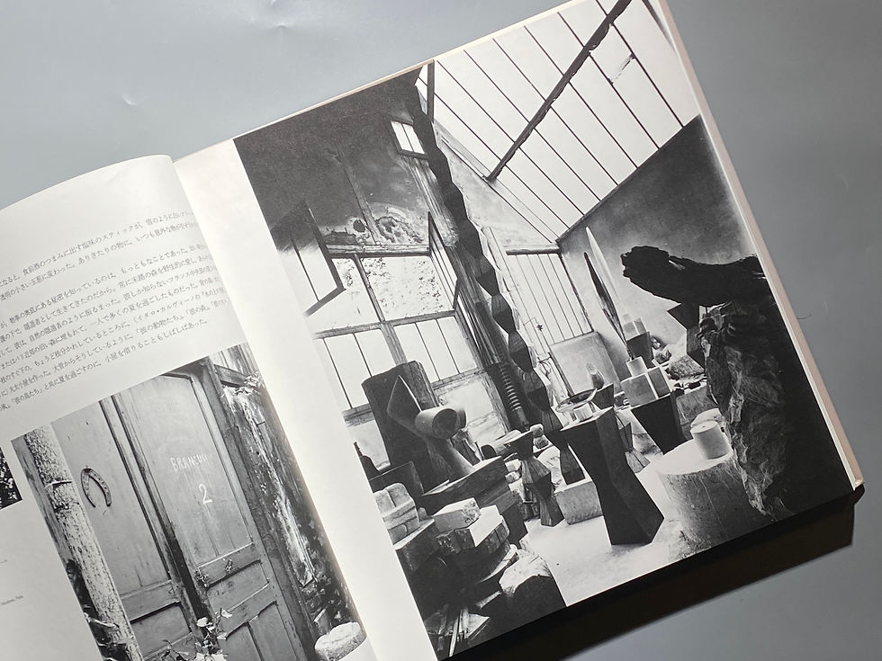 サムネイル： ブランクーシ 作品集 / ラドゥ・ヴァリア