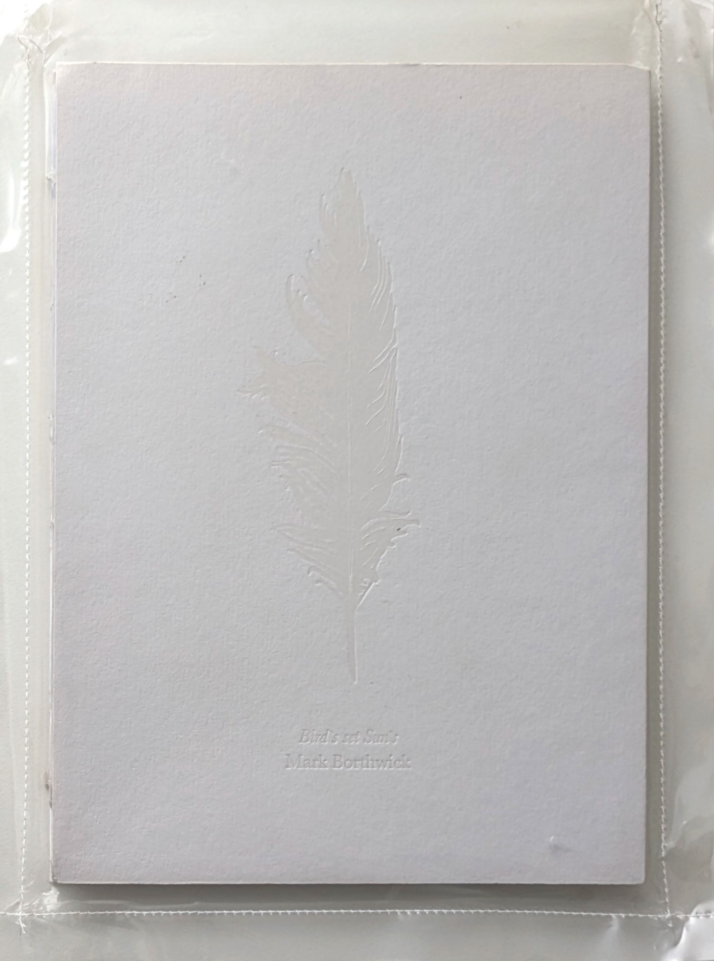 Bird's set Sun's / Mark Borthwick