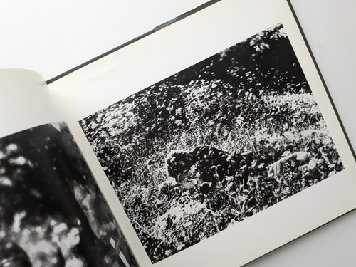 古書・古本 | Liebbooks |Omaggio a Spoon River / Mario Giacomelli