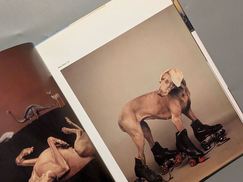 サムネイル： Fay / William Wegman