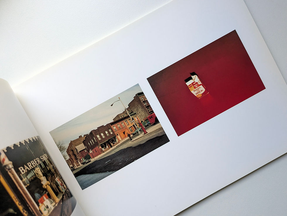 サムネイル： American Surfaces 1972 / Stephen Shore
