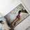 Thumbnail: ANNIE LEIBOVITZ  PHOTOGRAPHS 1970 - 1990