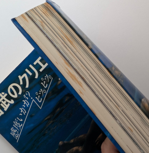 古書・古本 | Liebbooks |西武のクリエイティブワーク 感度いかが?ピッ