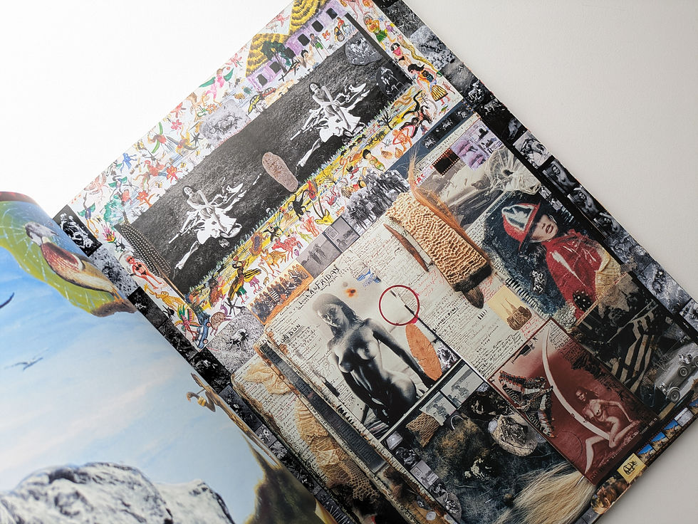 Thumbnail: Stern Portfolio No.26  PETER BEARD