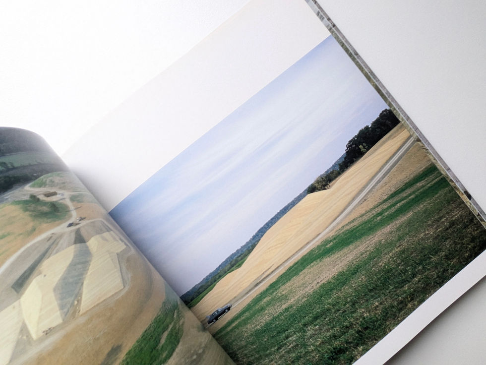 Thumbnail: Effigy Tumuli: The Reemergence of Ancient Mound Building / MICHAEL HEIZER