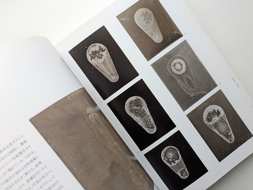 Thumbnail: 解体と再生 / 森山安英