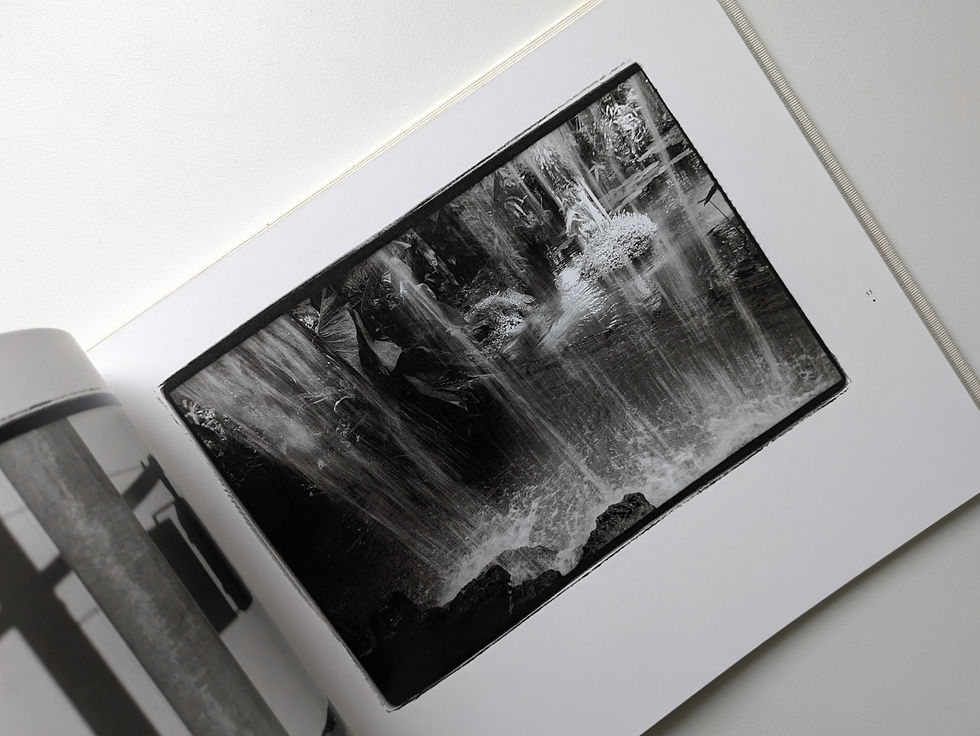 Thumbnail: 常世の虫 / 原 芳市