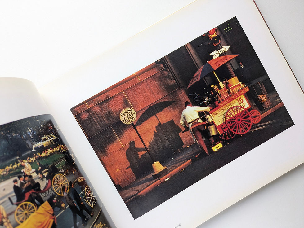 古書・古本 | Liebbooks |ERNST HAAS COLOR PHOTO-GRAPHY