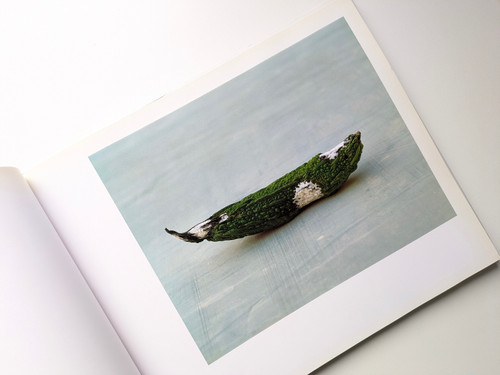 古書・古本 | Liebbooks |OBSESSION / HIROSHI YODA [与田弘志]