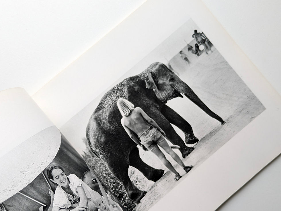 Thumbnail: 生きる歓び Celebration of Life  カメラ毎日別冊  /  奈良原一高