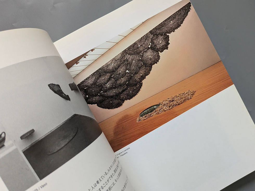 サムネイル： ジュゼッペ・ぺノーネ展 図録