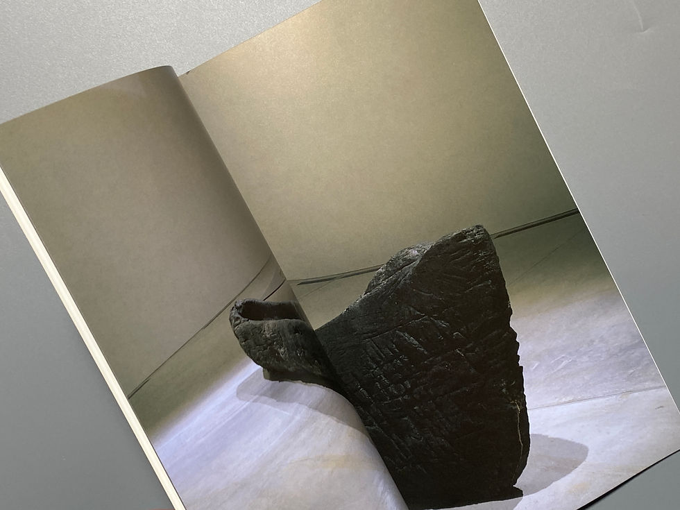 サムネイル： 供犠と空洞 / 遠藤利克