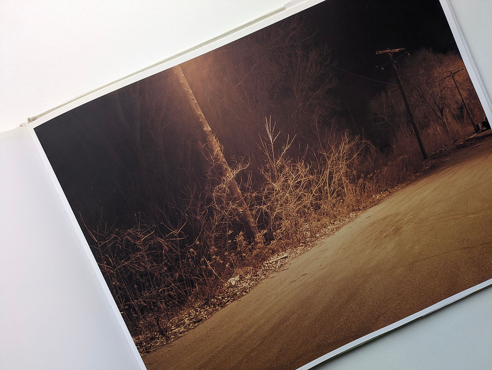 サムネイル： Roaming Landscape Photographs 1994-2004 / Todd Hido
