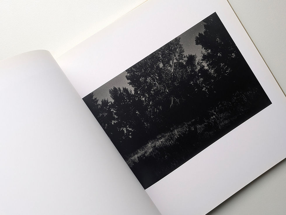 サムネイル： Robert Adams Tree Line : Hasselblad Award 2009