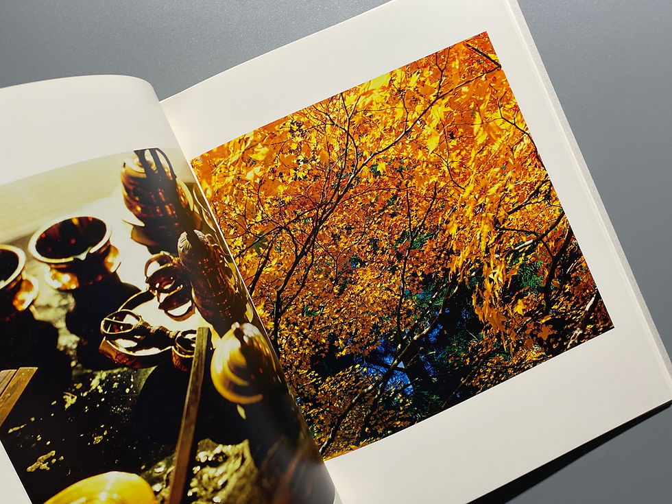 サムネイル： 一山 古賀絵里子   |  ISSAN Eriko Koga