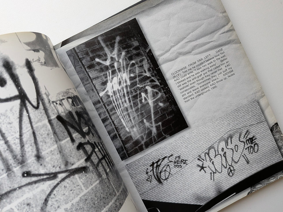 Thumbnail: The Art of Getting Over Graffiti at the Millennium / Stephen Powers
