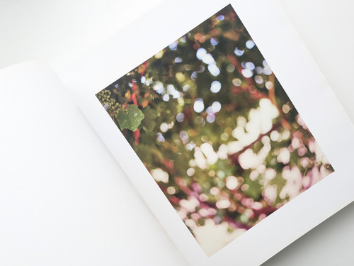 古書・古本 | Liebbooks |THE LONG NOW / UTA BARTH
