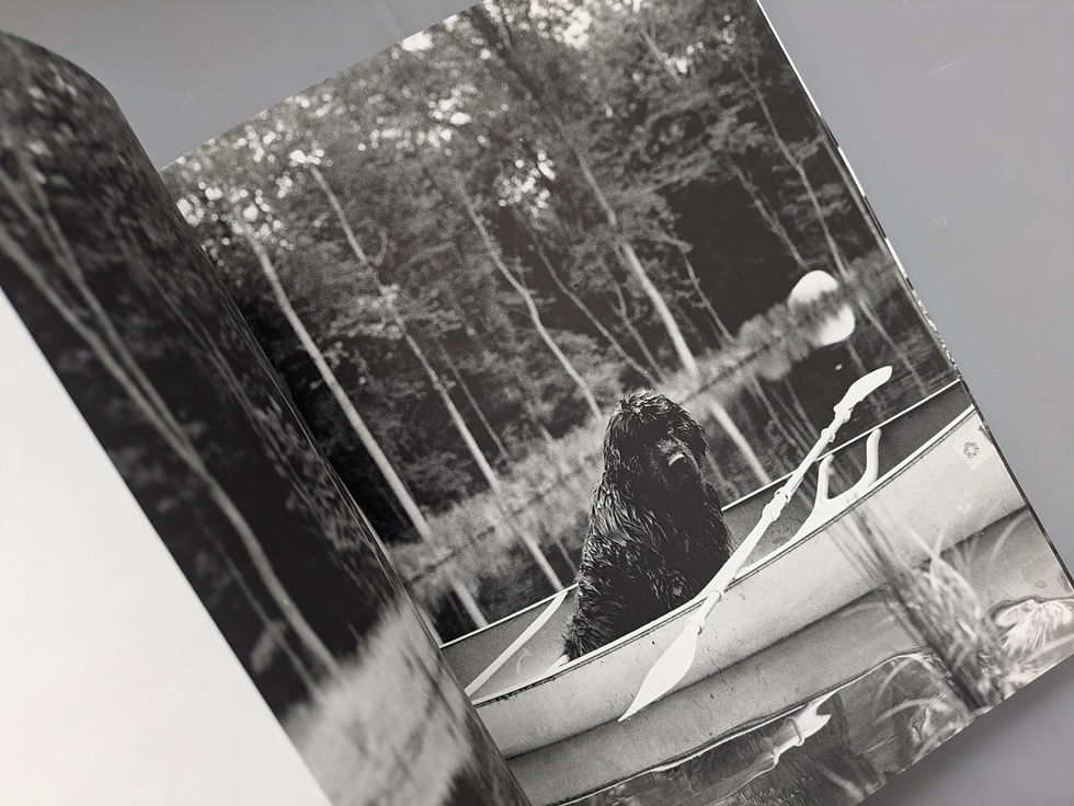 サムネイル： GENTLE GIANTS / BRUCE WEBER