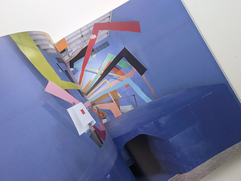 サムネイル： PLEASE LISTEN I HAVE SOMETHING TO TELL YOU ABOUT WHAT IS / Chris Johanson