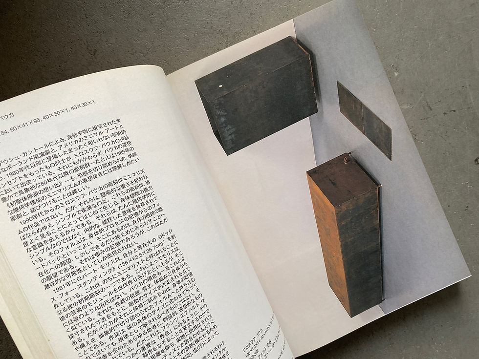 サムネイル： MINIMAL MAXIMAL ミニマル マキシマル ミニマル・アートとその展開 1990年代の現代美術