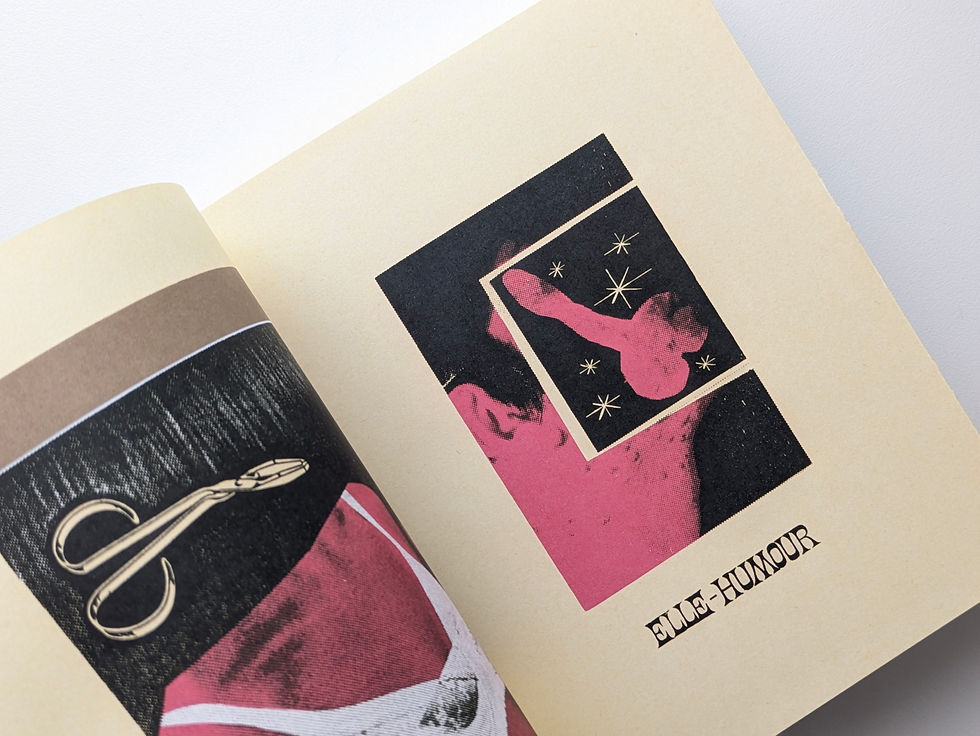 サムネイル： Elle Humour / Julie doucet