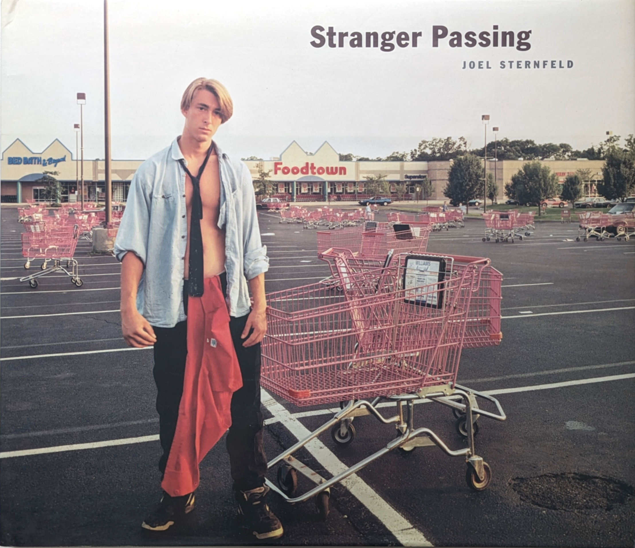 Stranger Passing / JOEL STERNFELD