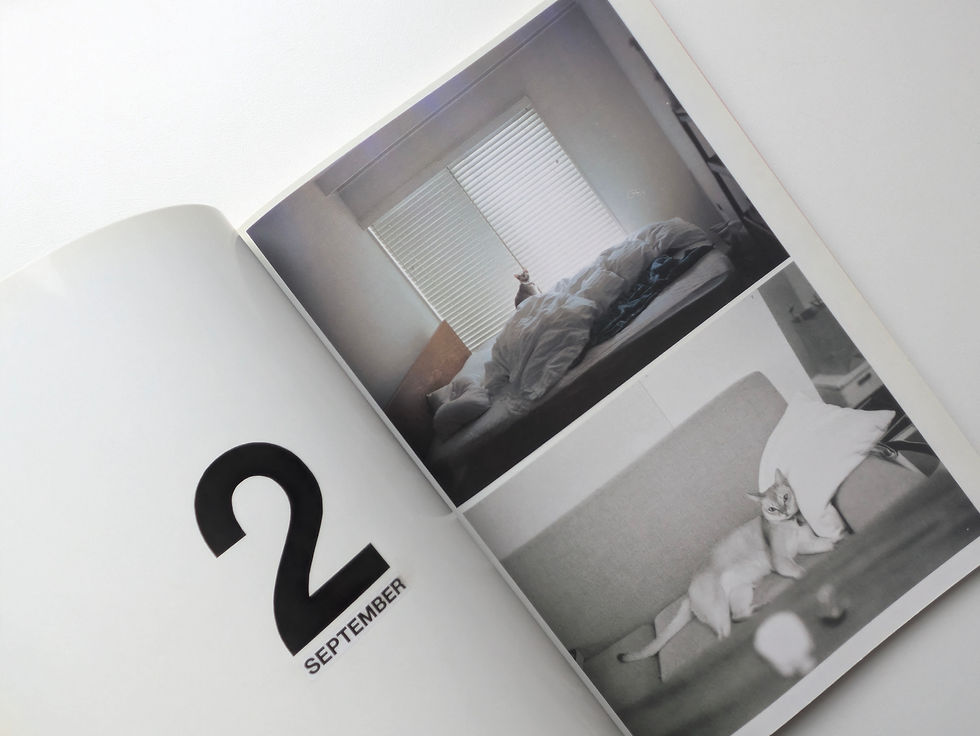 サムネイル： ホンマタカシ: Diaries 2010-2011