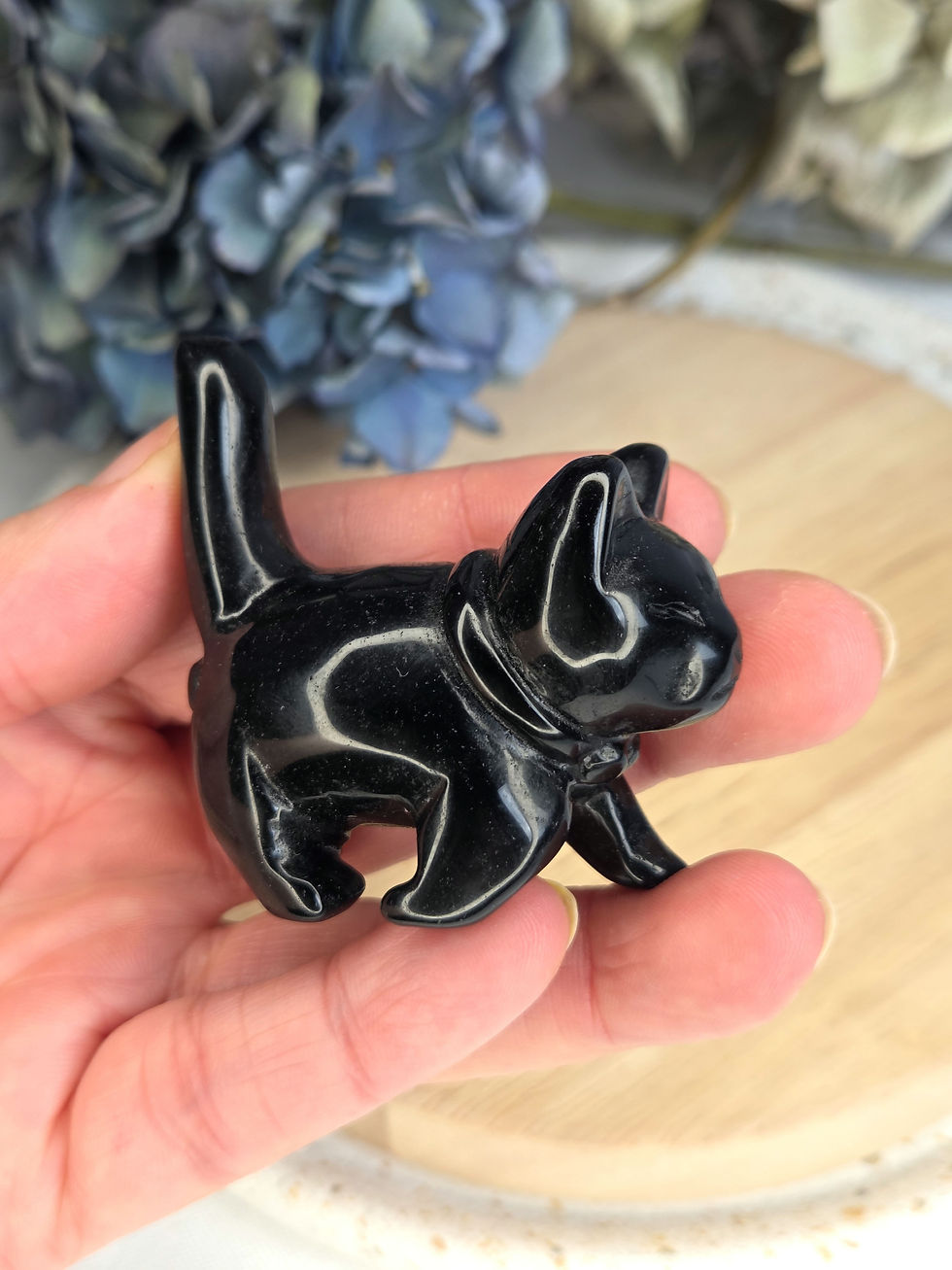 Miniaturbild: Katze Obsidian- in Bewegung