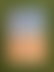 Zij, ik en de sterren van Simone Arts