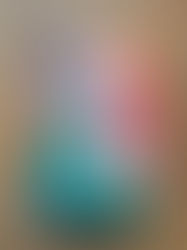 Willem Zoetelief, koning van Aloeka van Ronnie van Veen