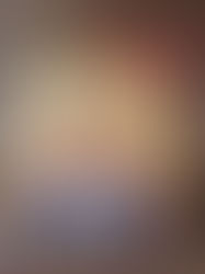 De bril van beer van Leo Timmers