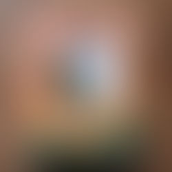 Ronnie de roerdomp slaat zijn vleugels uit van Arjan Dwarshuis