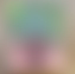 Het meisje met de zaadjes in het haar van Nancy Bosmans