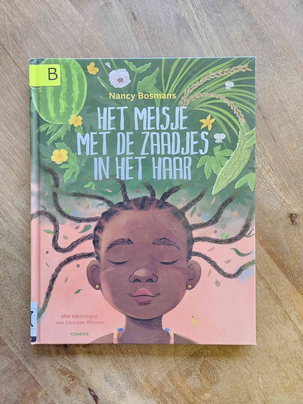 Het meisje met de zaadjes in het haar van Nancy Bosmans
