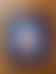 Een kerstdans voor de koning van Paul Biegel en Linde Faas