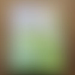 Kiki en het kikkerkoor van Stern Nijland